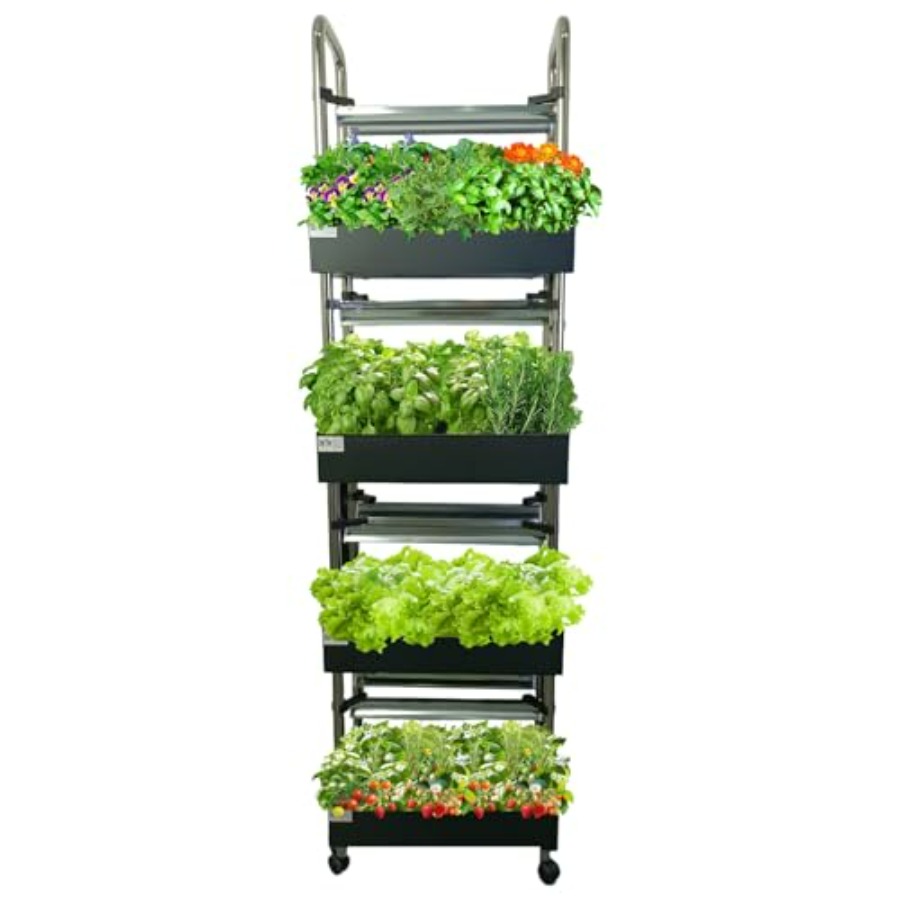 Smart Garden Water - System hydroponiczny do uprawy roślin w