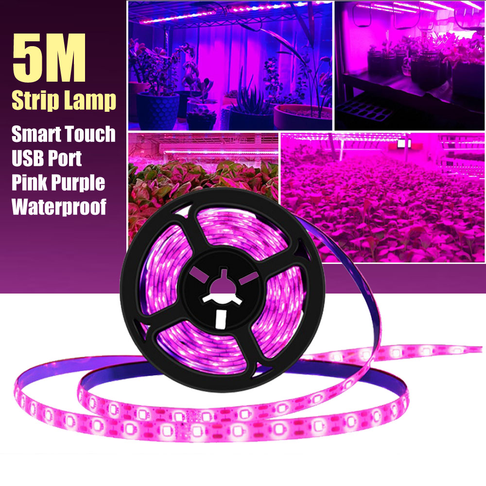 5M oświetlenie LED do uprawy p – Led Plant Light Strip recenzja i cena