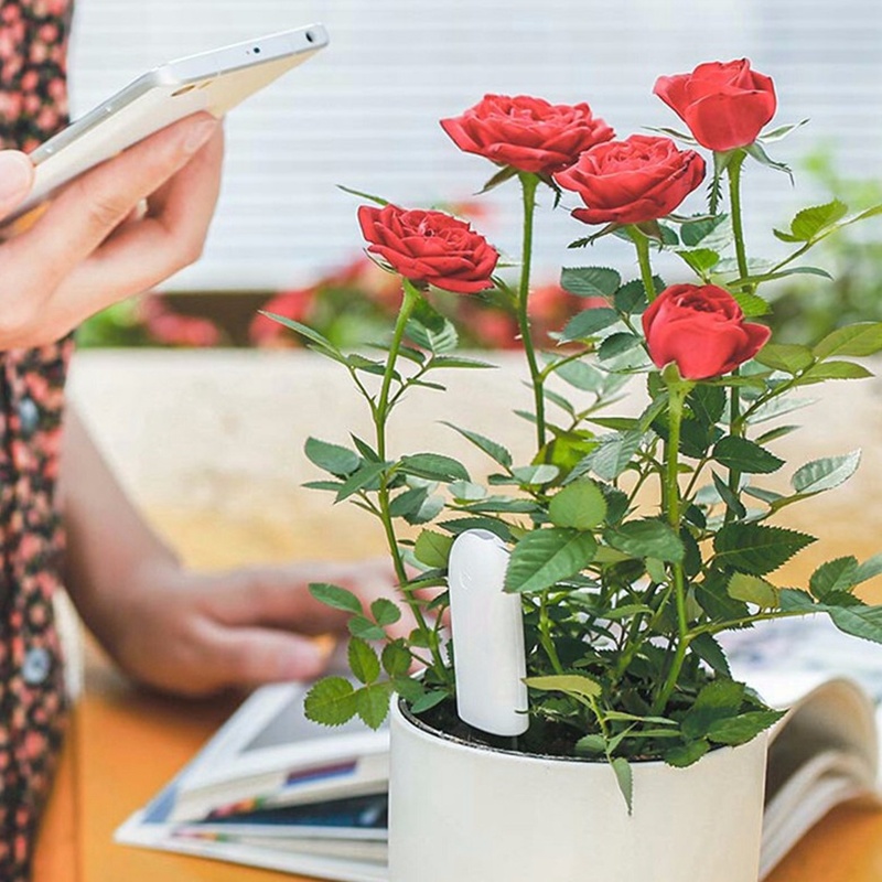 HHCC Flower Monitor Flora Gard – Smart Garden Water recenzja i cena