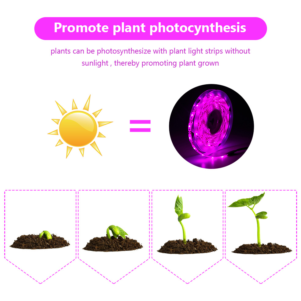 USB Full Spectrum LED Grow Lig – Led Plant Light Strip recenzja i cena