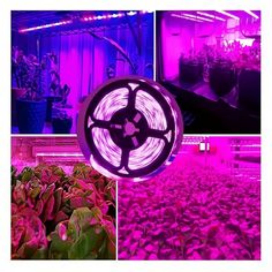 1M/2M/3M/5M/10M LED Full Spect – Led Plant Light Strip recenzja i cena