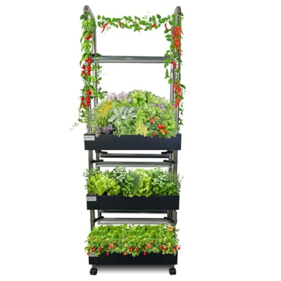 System hydroponiczny do uprawy – Smart Garden Water recenzja i cena